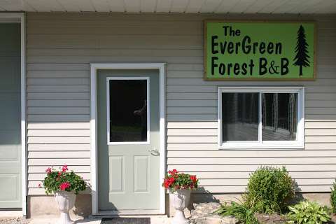 Evergreen Forest Bed and Breakfast
